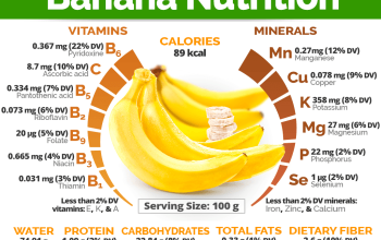 Bananen omelette ernährungs docs