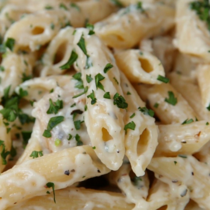 Chicken penne with alfredo sauce recipe