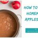 Canned Apple Sauce Recipe A Comprehensive Guide